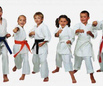 karate-8-10-yas-arasi