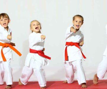 karate-3-8-yas-arasi