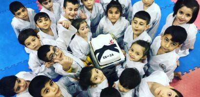 Karate-Do Ne Demektir